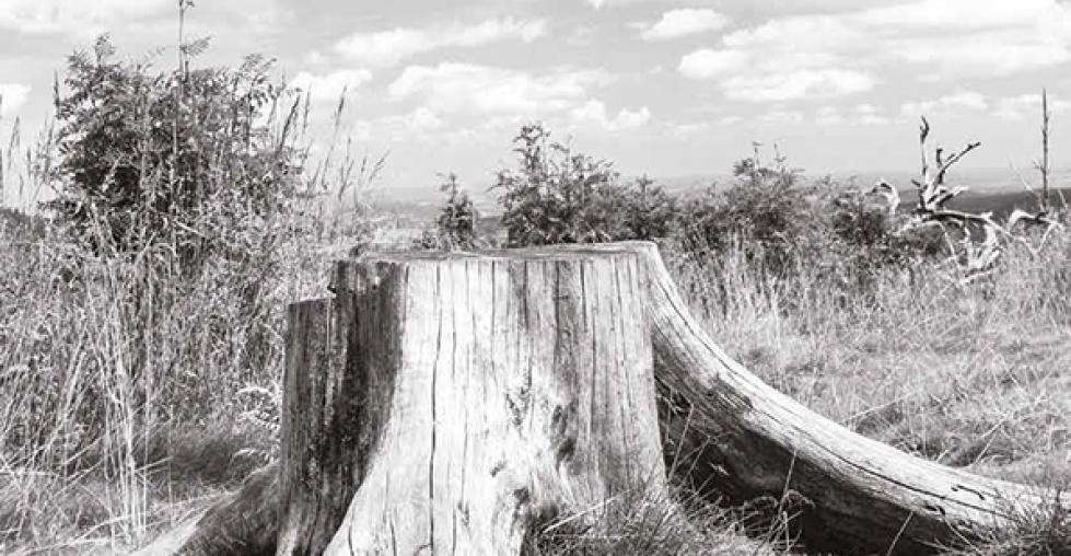 Read: Croatia's EU funds spending plans: unfulfilled potential Click to read: Croatia's EU funds spending plans: unfulfilled potential