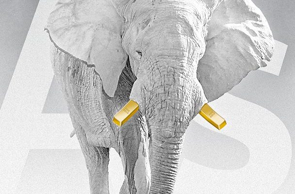 Cover of the report Dirty Precious Metals, showing an elephant with golden tusks.