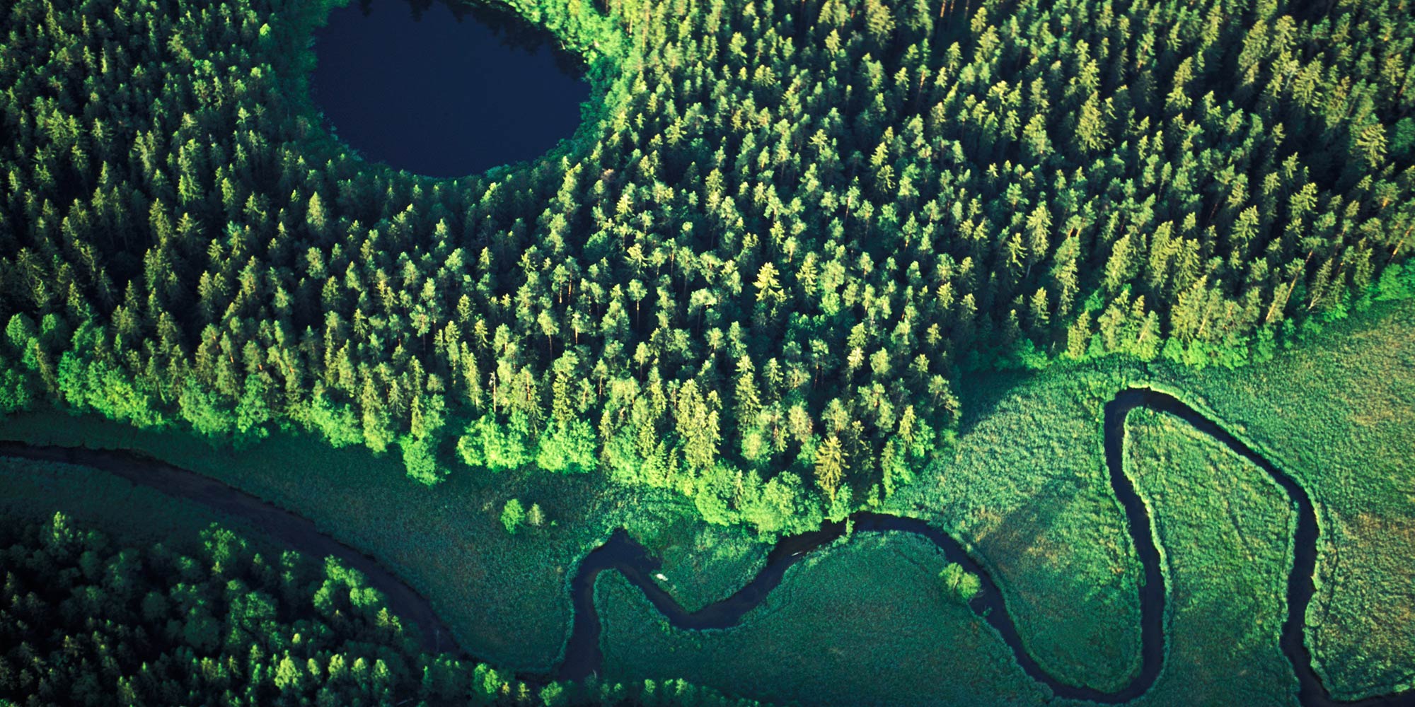 An aerial shot showing a river winding through green forrest and meadows.