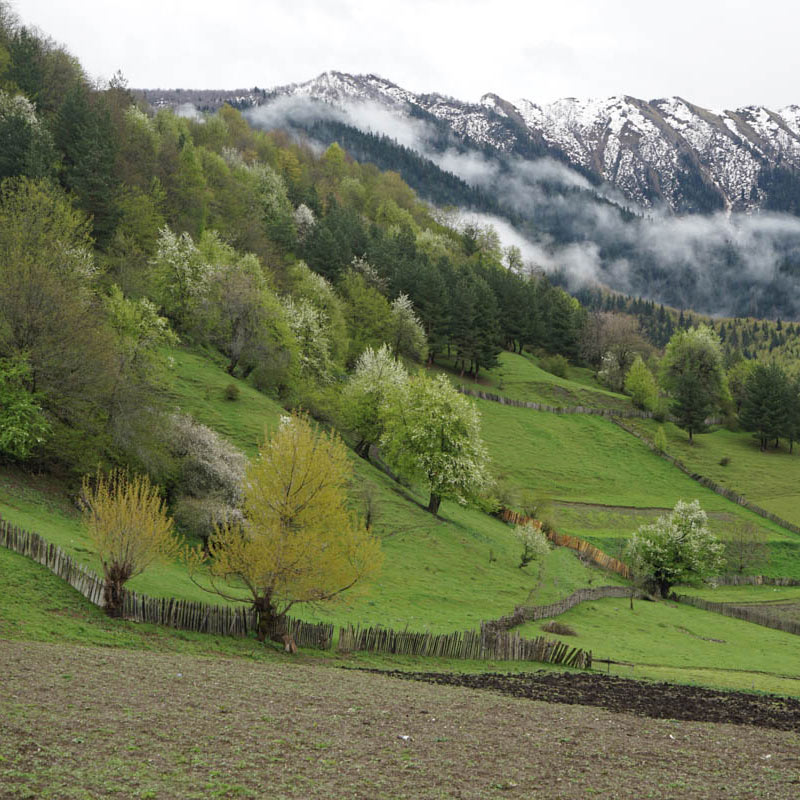 A panorama of Mazeri in Upper Svaneti, Georgia