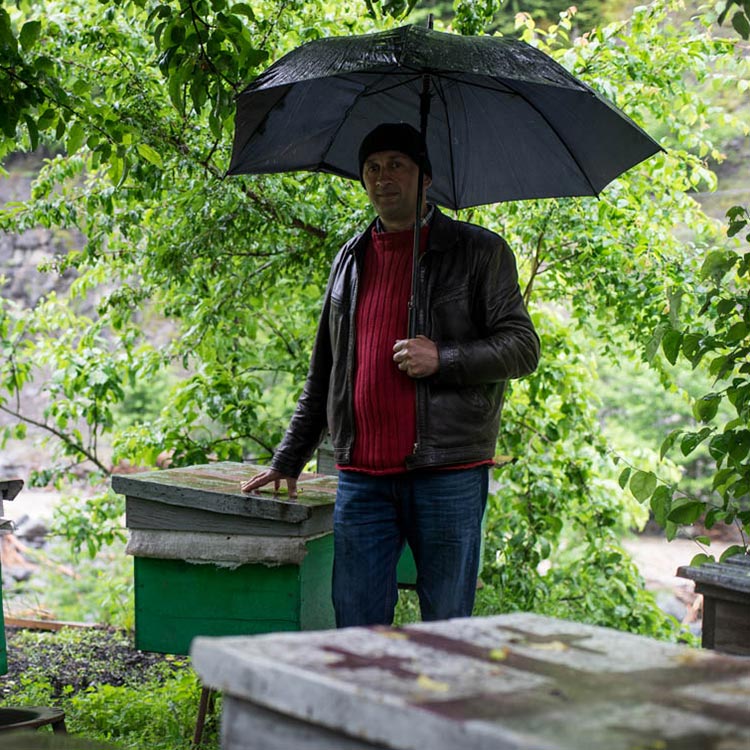 Tamazi under the umbrella in his yard