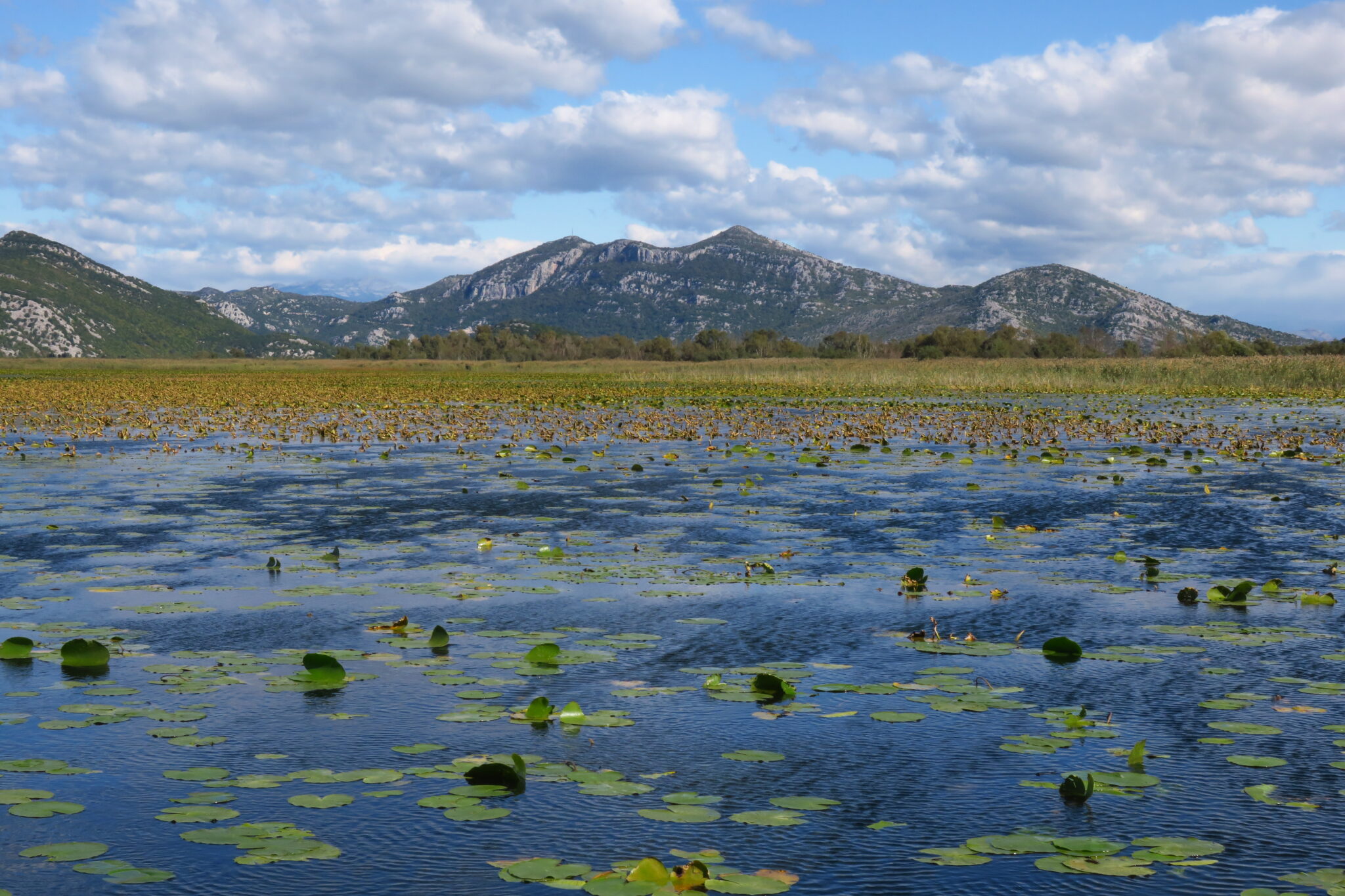 Expanding the Emerald Network: Progress and gaps in the Western Balkans ...