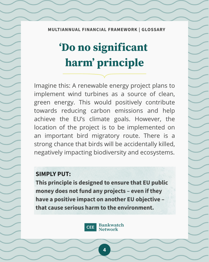 2025_07_Glossary MFF template FINAL-DNSH