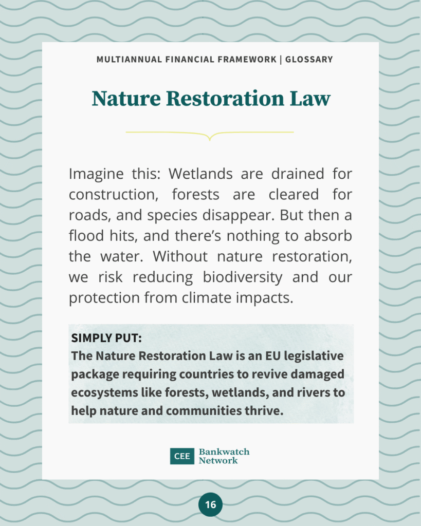 2025_07_Glossary MFF template FINAL nrl